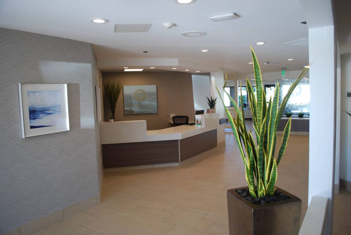 Modern office reception area with a central desk and decorative plants.
