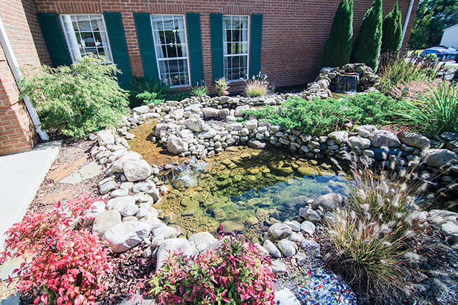 A tranquil garden pond surrounded by rocks and lush greenery.