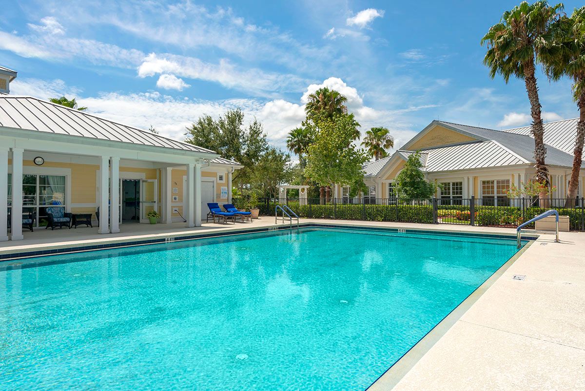 Luxurious outdoor swimming pool in a sunny residential setting.