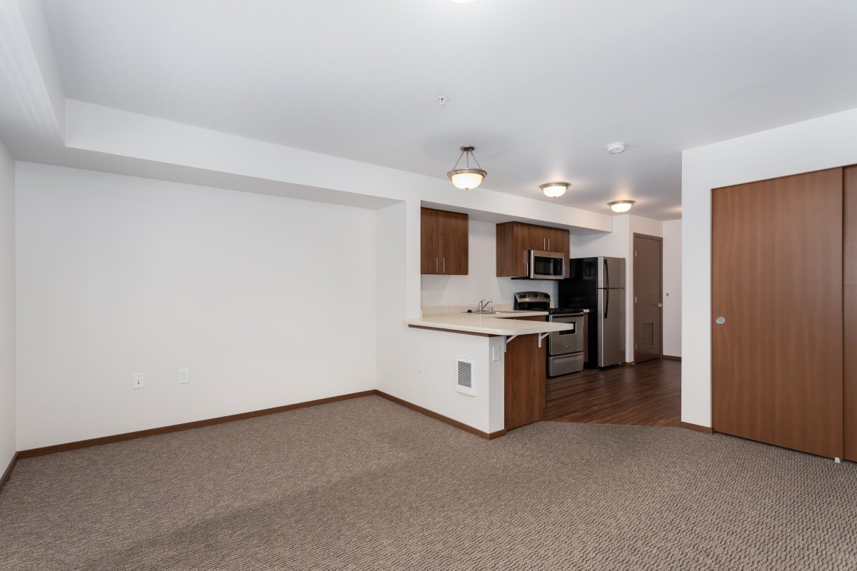 Modern apartment interior with an open kitchen and living area featuring stainless steel appliances and carpet flooring.
