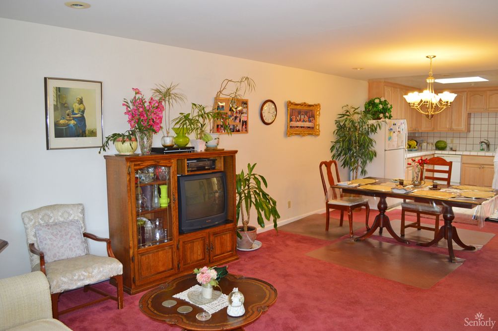A cozy living room with a television, plants, and a dining area.