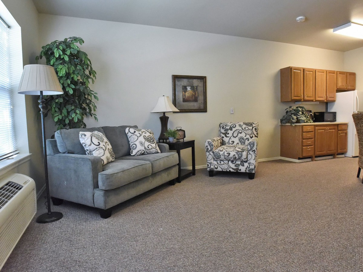 A cozy living room with a sofa, armchair, and decorative plants.