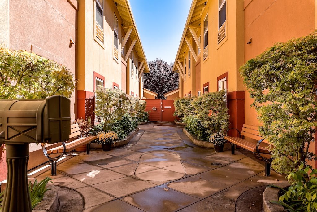 A sunny courtyard with a paved pathway between two buildings, adorned with lush landscaping.