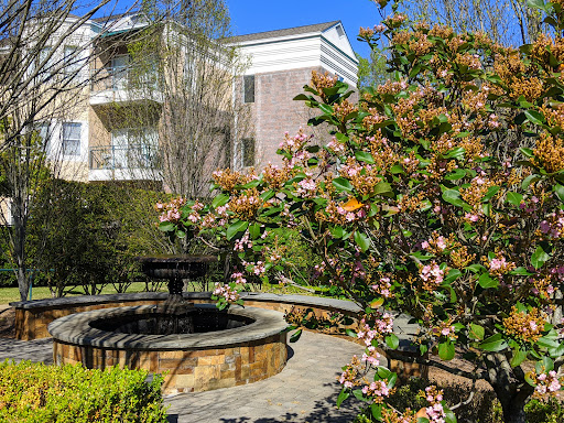 A serene garden scene featuring blooming flowers and a tranquil fountain against a backdrop of modern architecture.