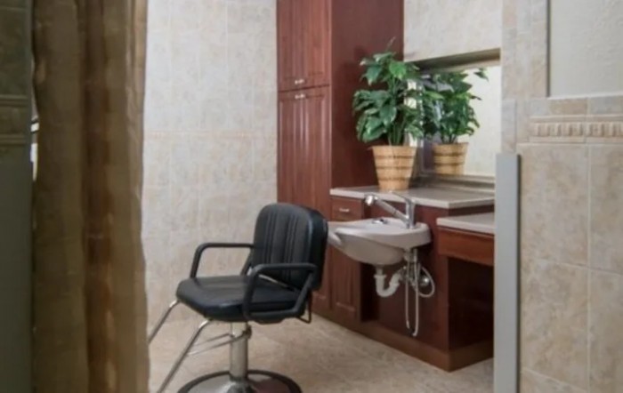 A hair salon station featuring a black barber chair, a sink, and a large mirror with potted plants.