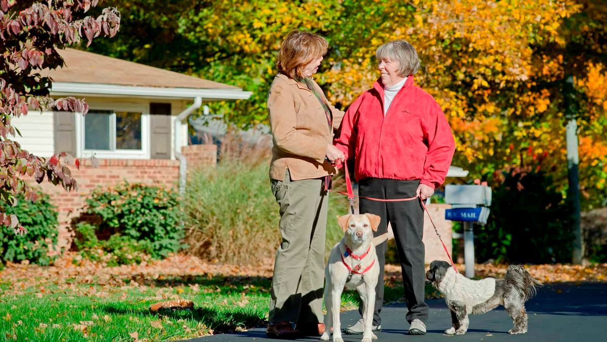 Two people chatting while walking their dogs in a suburban neighborhood during autumn.