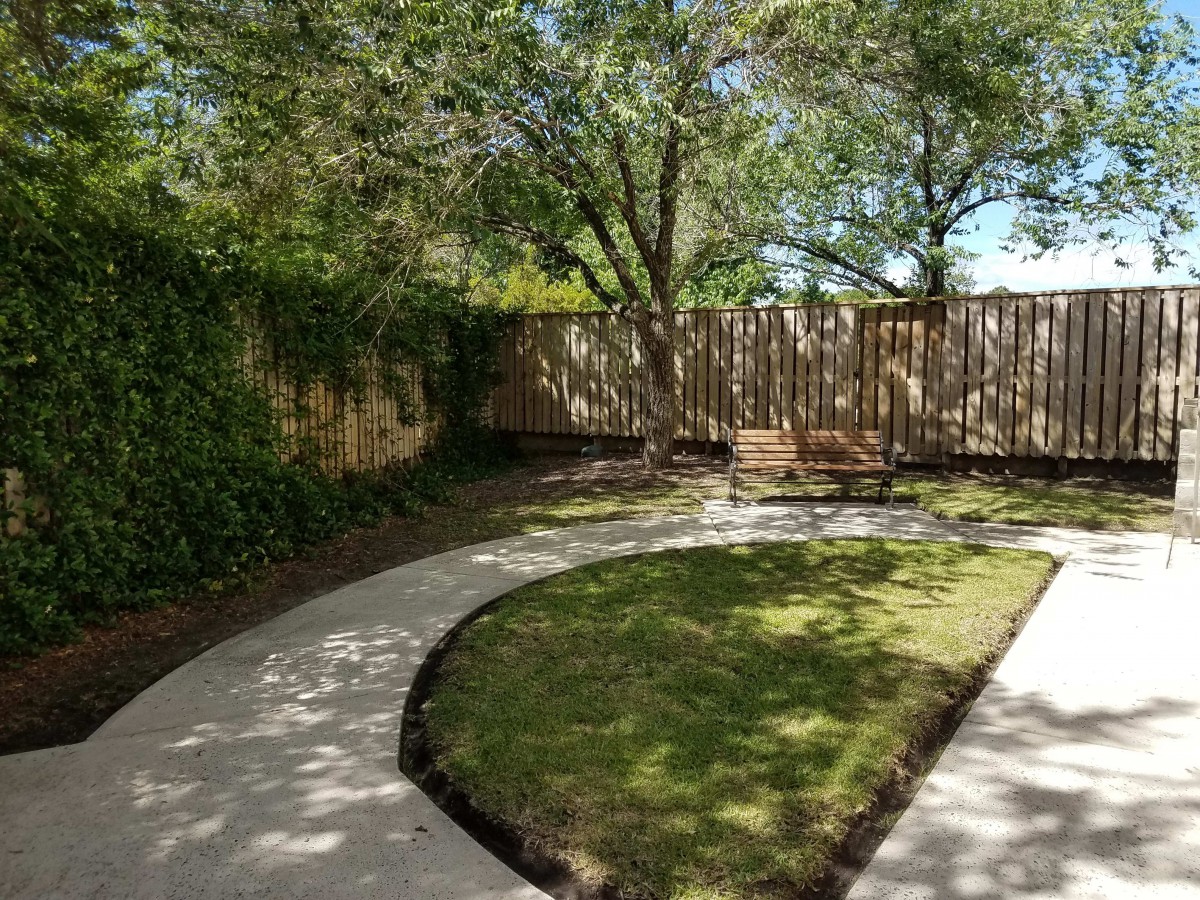 A serene backyard garden with a curved pathway, lush trees, and a wooden bench.