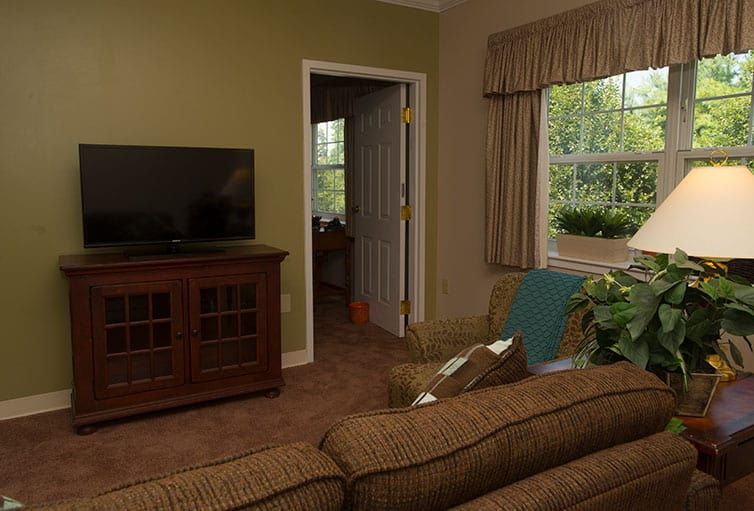 A cozy living room with a television, couch, and green walls, complemented by plants near the window.