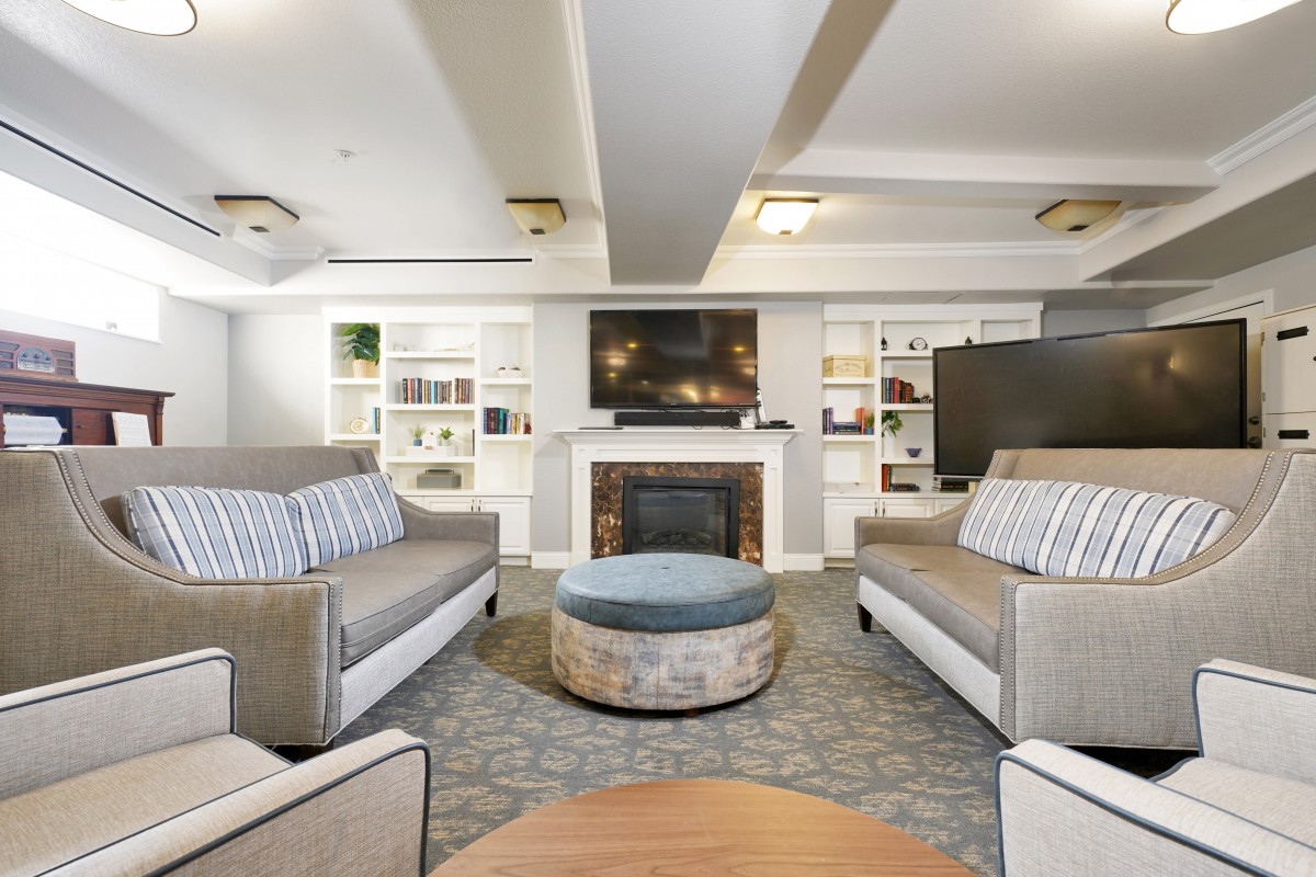 A modern living room with comfortable sofas, a fireplace, and a large television, complemented by bookshelves and elegant lighting.