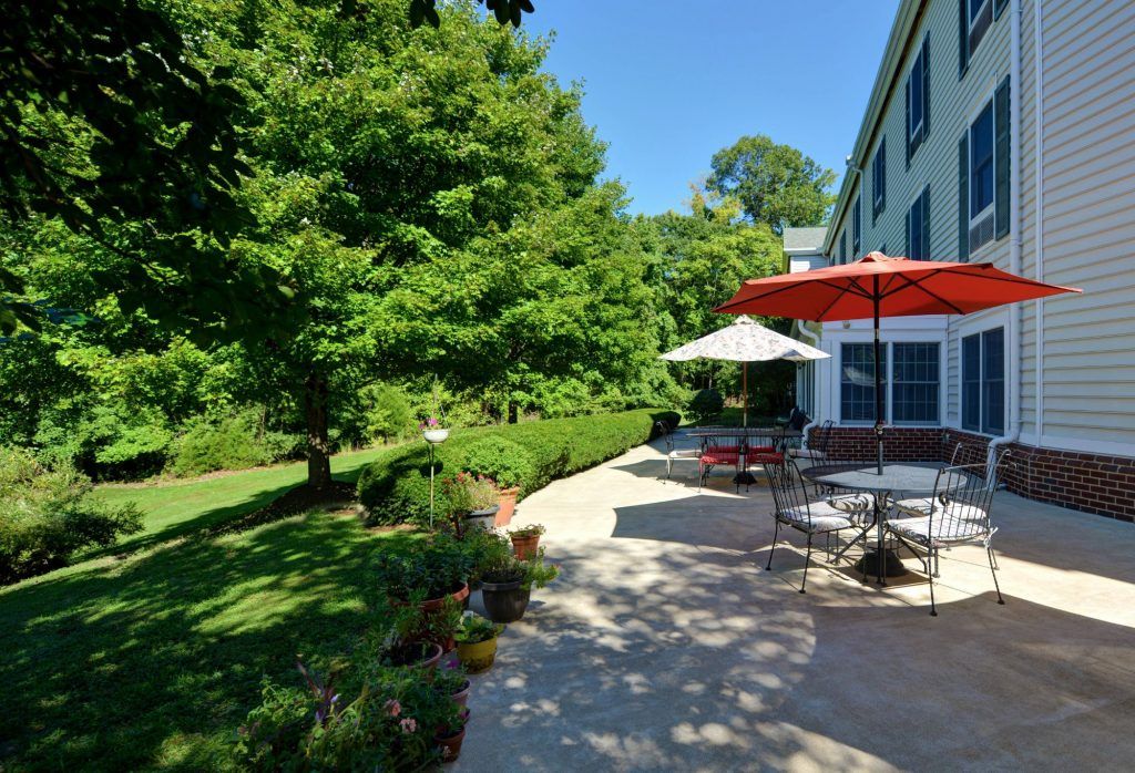 A sunny backyard with a patio featuring outdoor furniture and an umbrella, surrounded by lush greenery and trees.