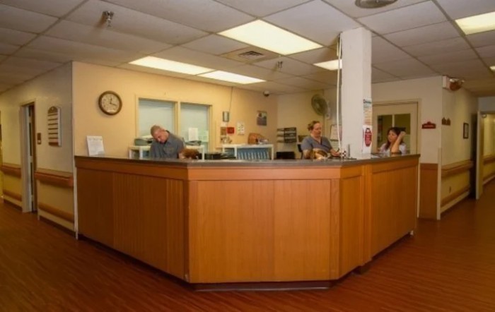 A reception area in a medical facility with staff working behind a wooden desk.