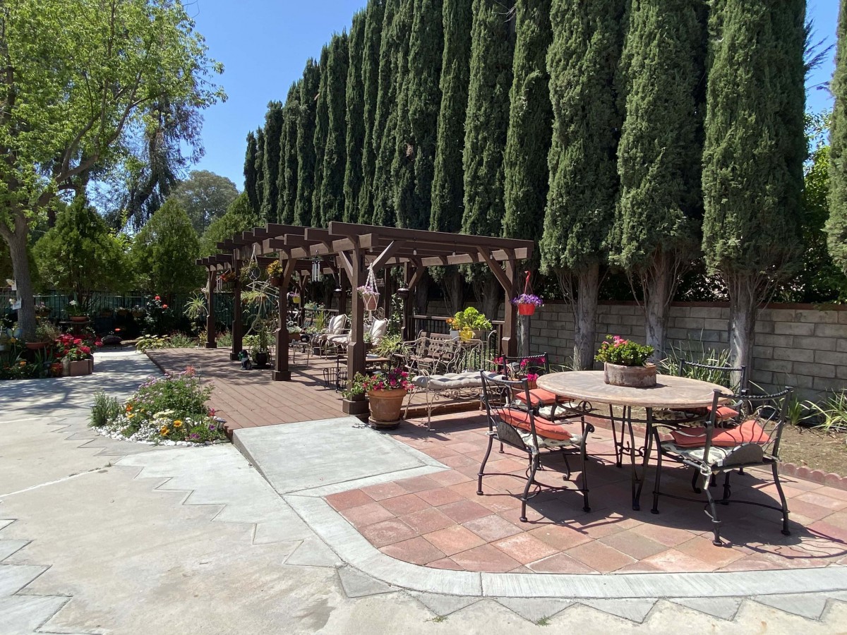 A sunny outdoor patio with garden furniture and a pergola surrounded by tall trees.
