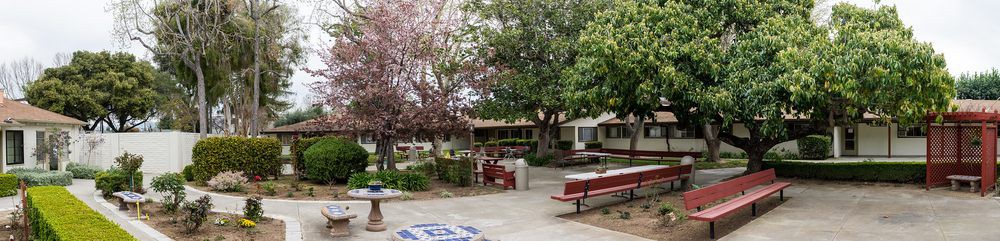A peaceful courtyard with benches and trees providing a serene outdoor setting.