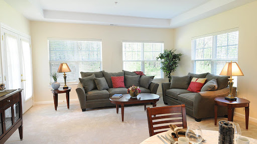 A cozy living room featuring comfortable seating, natural light, and a touch of greenery.