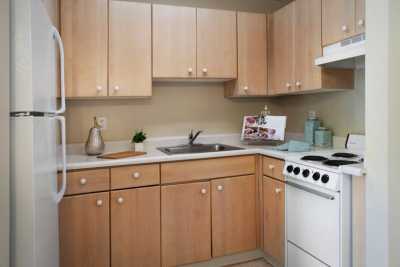 A modern kitchen with wooden cabinets and a white stove.