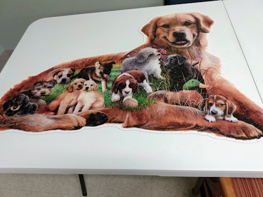 A collage of various dog breeds, featuring playful puppies and a golden retriever.