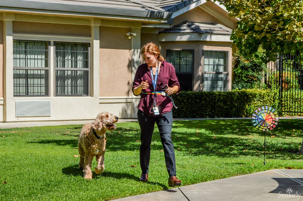 A person walking a dog on a lawn in front of a house.