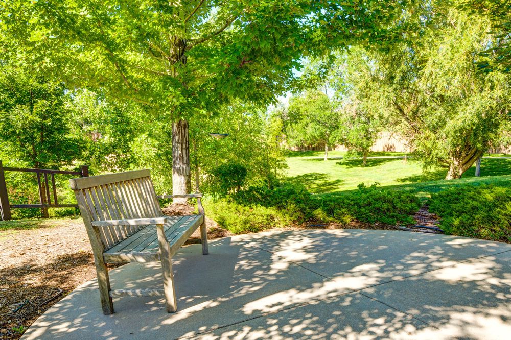 A peaceful park scene with a bench under the shade of lush green trees.