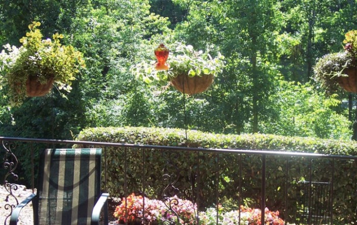 A scenic view of a balcony garden with vibrant flowers and lush greenery.