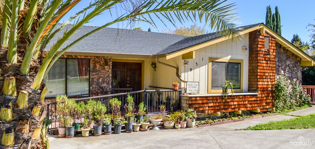 A sunny view of a house with a variety of potted plants lining the front area.