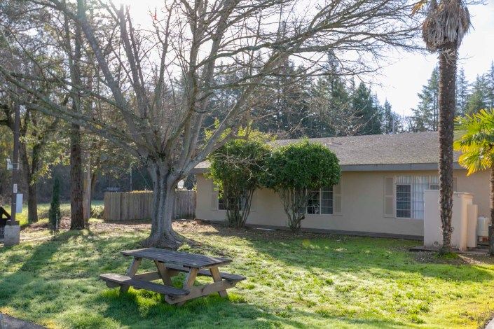 A backyard with a bare tree and a picnic table, adjacent to a house on a sunny winter day.