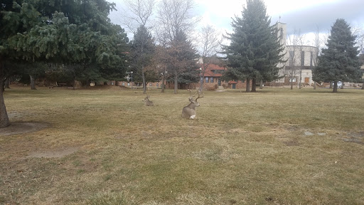 A serene park scene with trees and grassy areas.