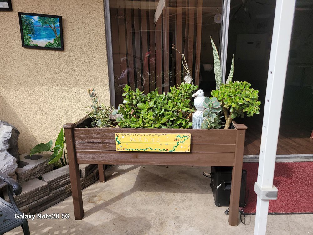 An outdoor planter filled with various green plants.
