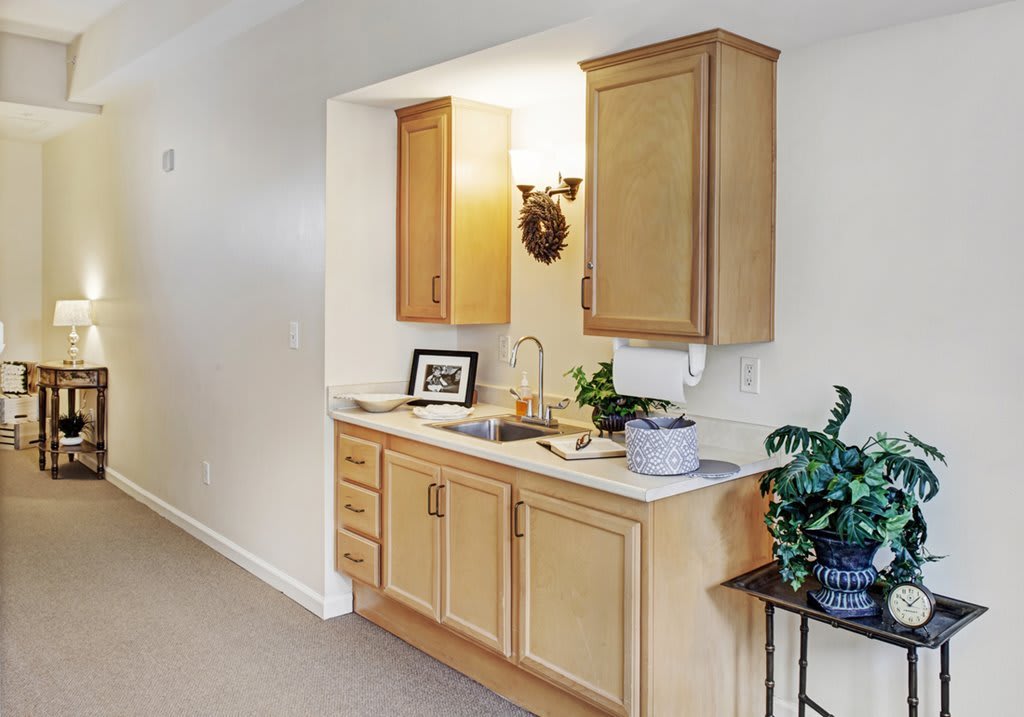 A simple kitchenette with wooden cabinets, a sink, and decorative plants.