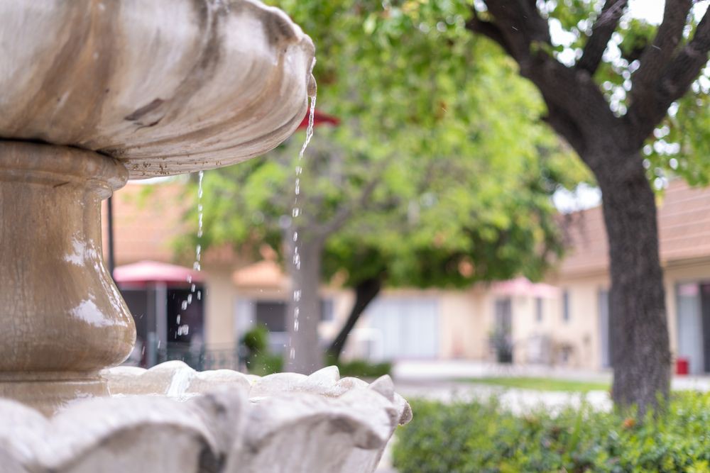 A decorative fountain with water gently cascading, set against a backdrop of lush greenery.