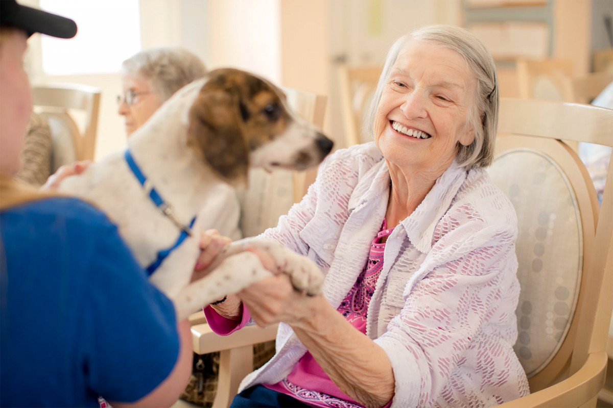 An elderly woman happily interacts with a dog, enjoying a moment of pet therapy indoors.