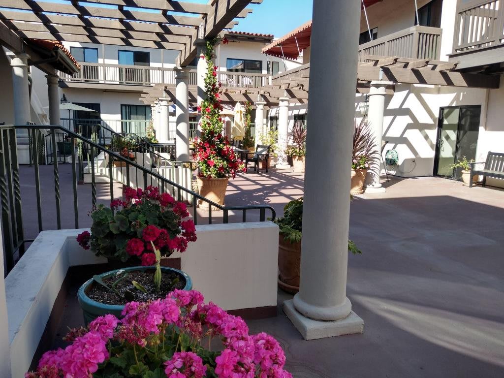 A sunny courtyard adorned with vibrant flowers and elegant architecture.