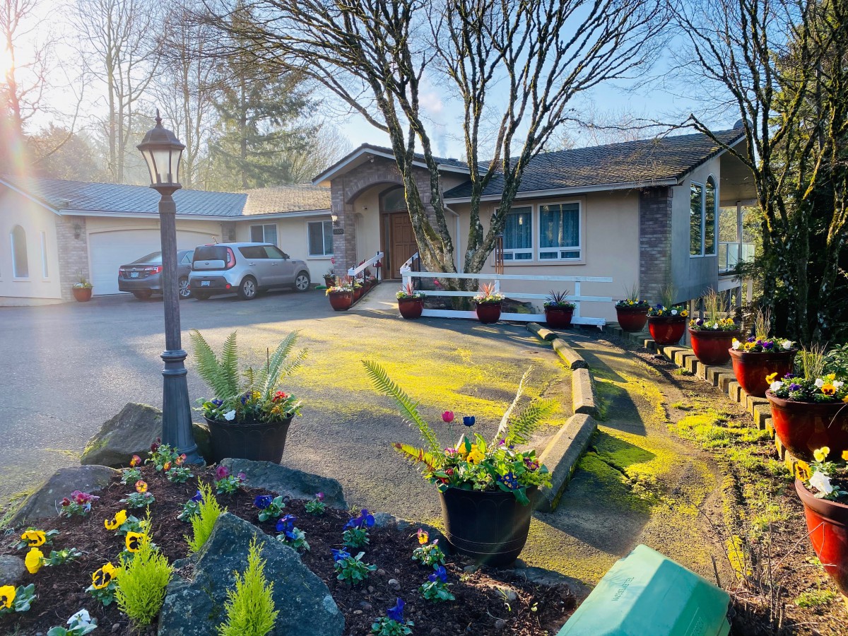 A charming house with a vibrant garden and driveway in the morning light.