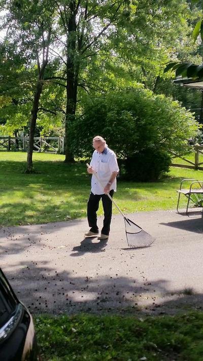 A person rakes leaves in a sunny garden surrounded by lush greenery.