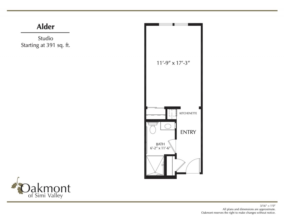 Floor plan for the Alder studio apartment showing a living area and bathroom layout.