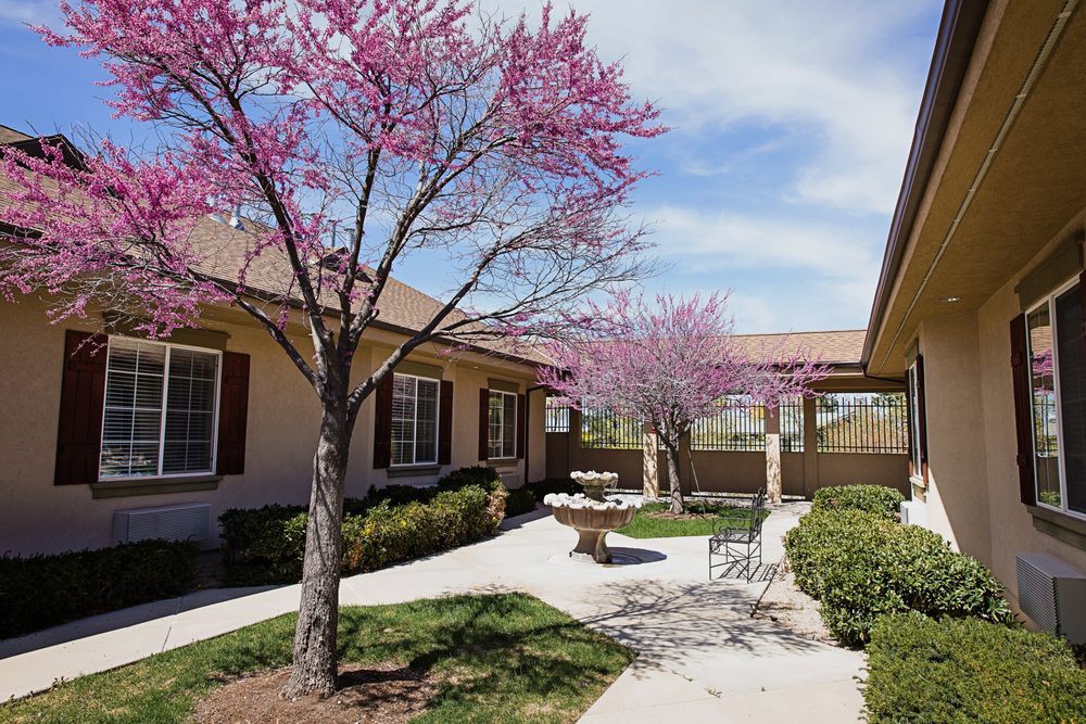 A serene courtyard with blooming trees and outdoor seating in spring.