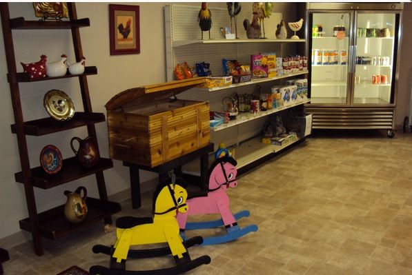 A cozy store interior featuring colorful rocking horses and shelves with various items.