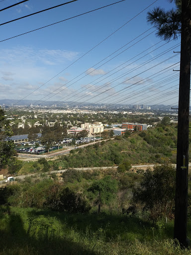 A panoramic view of a cityscape framed by hills and greenery, with power lines crossing the scene under a partly cloudy sky.