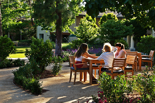 A group of friends enjoying a sunny day together in a park.