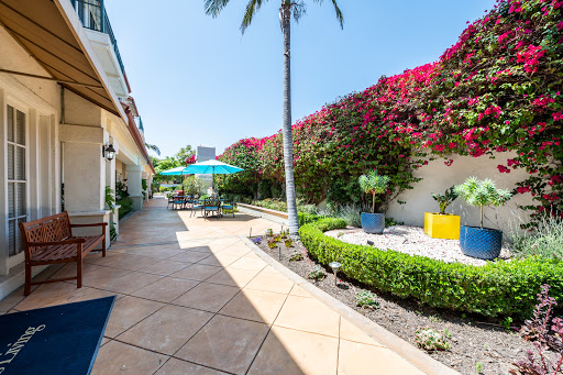 A vibrant outdoor garden featuring a palm tree and colorful flowers along the pathway.