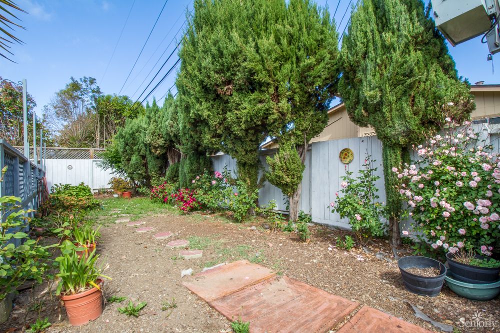 A peaceful garden with a pathway, lush trees, and vibrant plants.