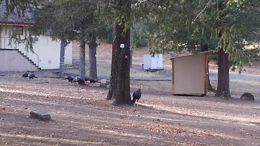 Veterans Home Of California - Yountville
