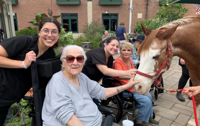 Seniors and caretakers enjoying time with a horse outdoors.
