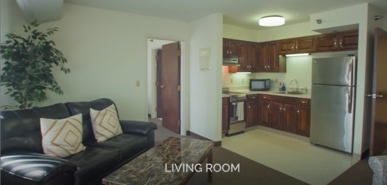 Cozy apartment living room with an adjacent kitchen.