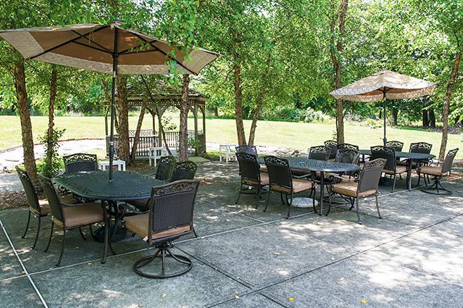 An outdoor patio area with tables, chairs, and umbrellas surrounded by trees.