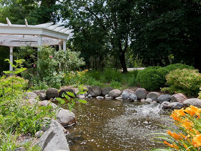 A serene garden pond surrounded by lush greenery and rocks.