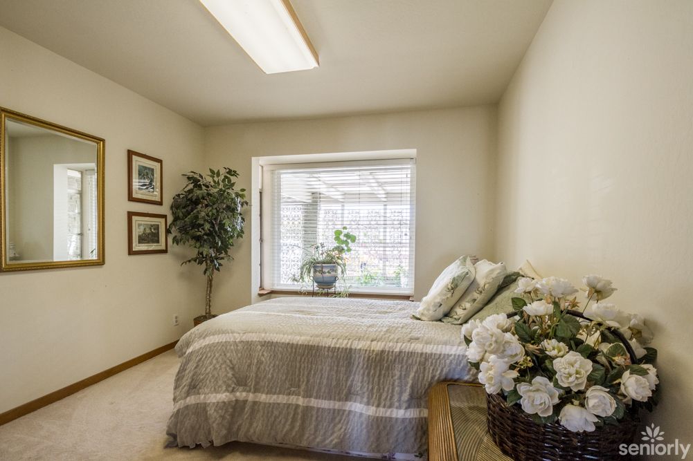 A cozy bedroom with a large window, featuring soft bedding and decorative plants.