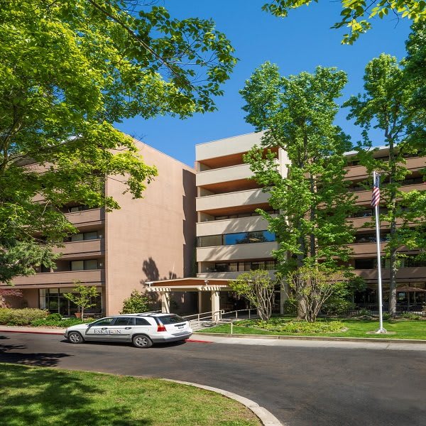 A modern office building with trees and a car parked on the street.