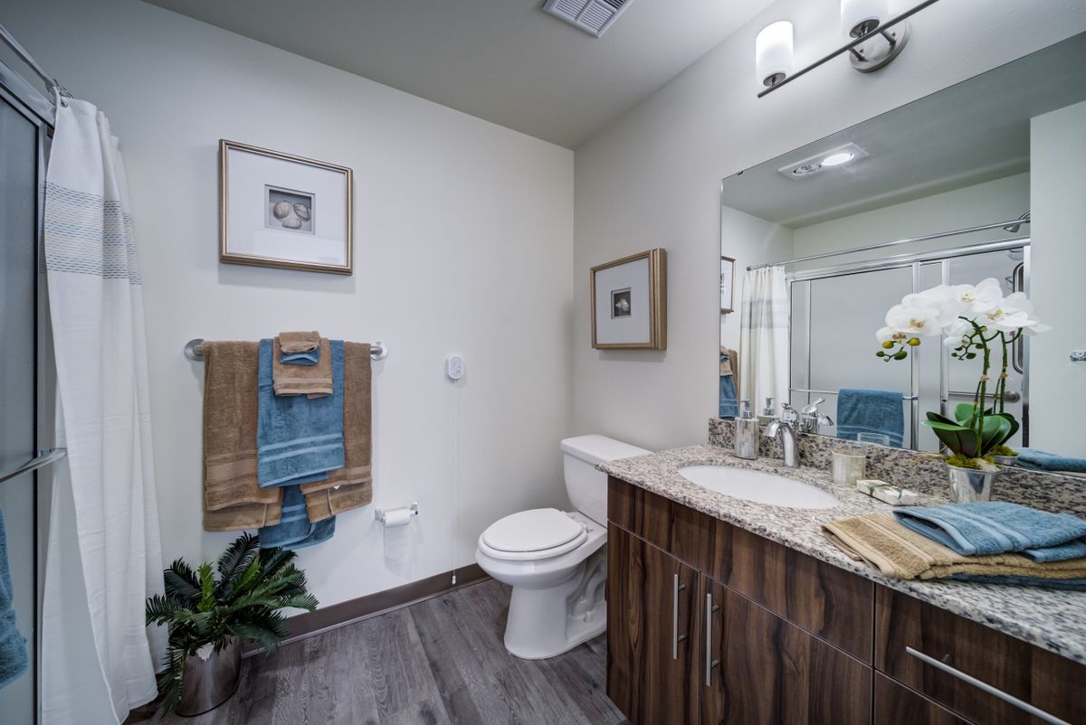 A modern bathroom with wooden cabinets, a sink, and decorative elements.