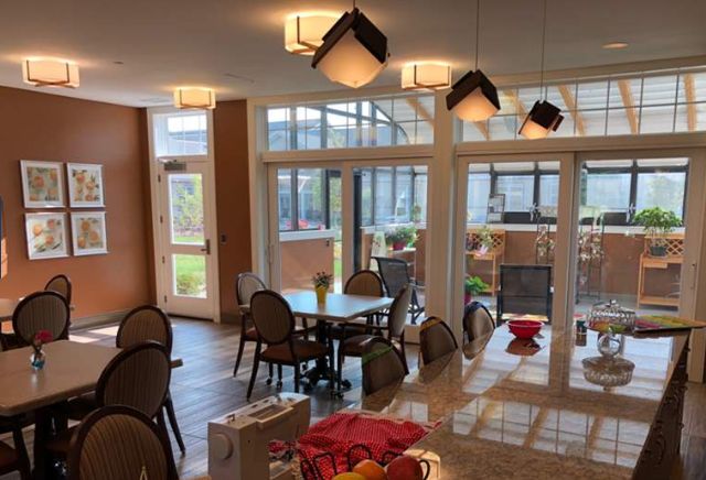 A well-lit dining area with multiple tables and chairs, surrounded by large windows and indoor plants.