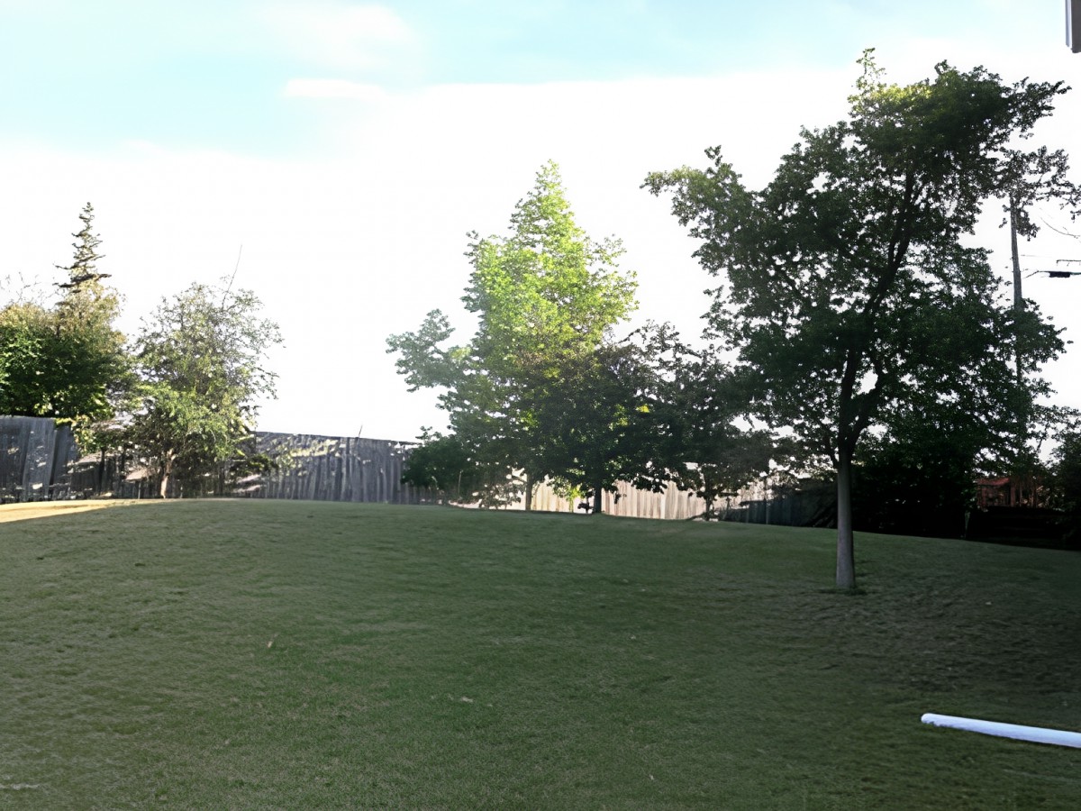 A serene park with lush green grass and several trees under a clear blue sky.